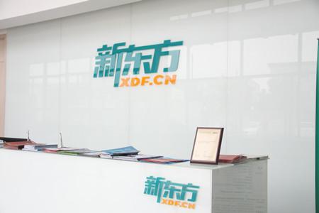 教育咨询服务 赋能成长的专业伙伴